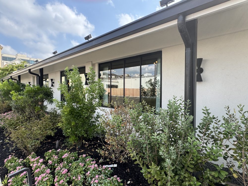 steel windows and doors